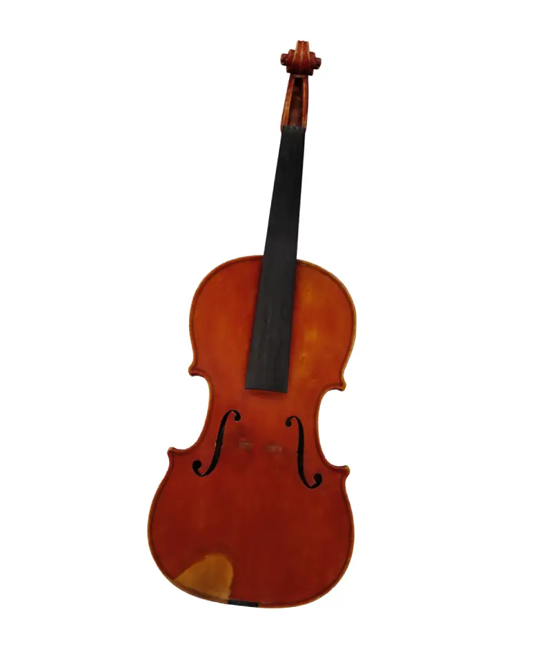 Liuteria Nova modellazione 3D Mandolino Carlo Albertini Lombardo 19esimo secolo XIX sec Milano