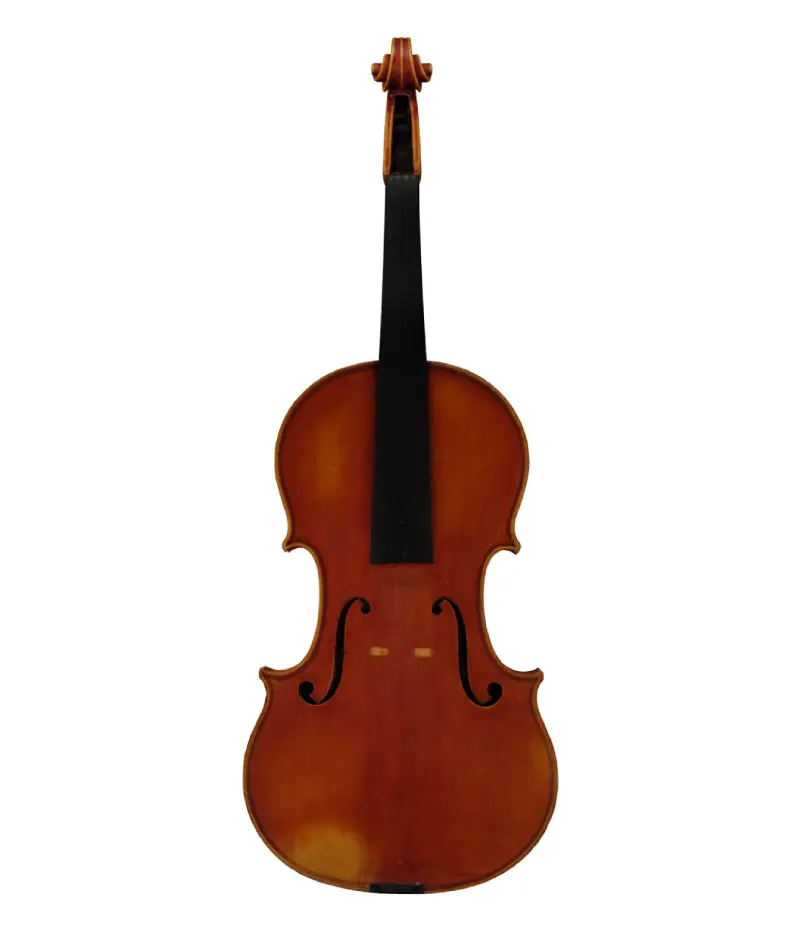 Liuteria Nova Viola Ornati modellazione 3D portfolio